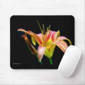 Lovely Daylily II Apparel en Gifts Muismat (Met muis)