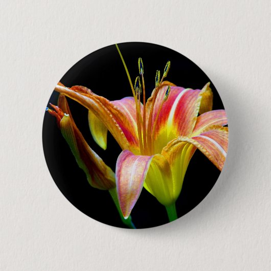 Lovely Daylily II Apparel en Gifts Ronde Button 5,7 Cm (Voorkant)