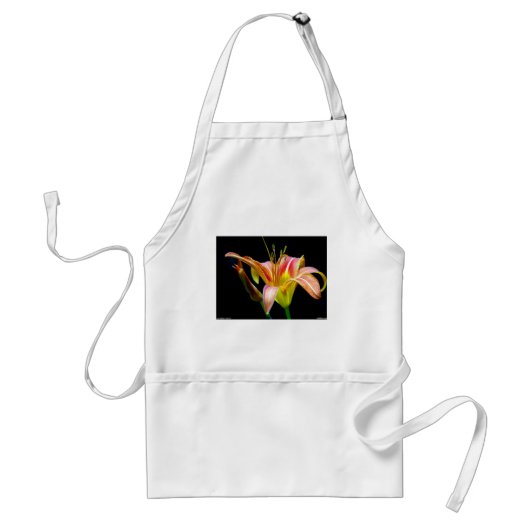 Lovely Daylily II Apparel en Gifts Standaard Schort (Voorkant)