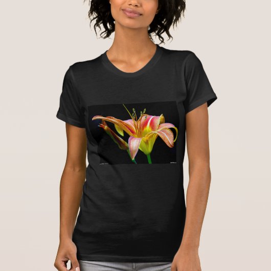 Lovely Daylily II Apparel en Gifts T-shirt (Voorkant)