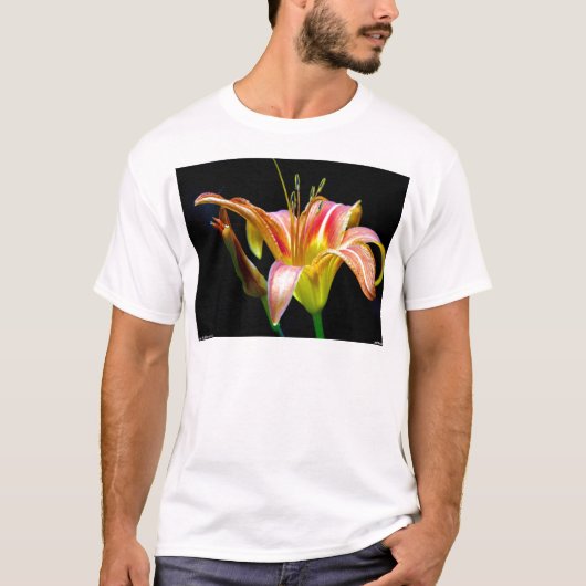 Lovely Daylily II Apparel en Gifts T-shirt (Voorkant)