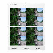 Lovely Donkey Portret Etiket (Full Sheet)