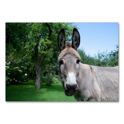 Lovely Donkey Portret Kaart (Voorkant)