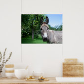 Lovely Donkey Portret Poster (Keuken)