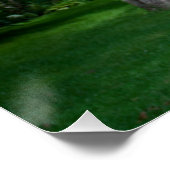 Lovely Donkey Portret Poster (Hoek)