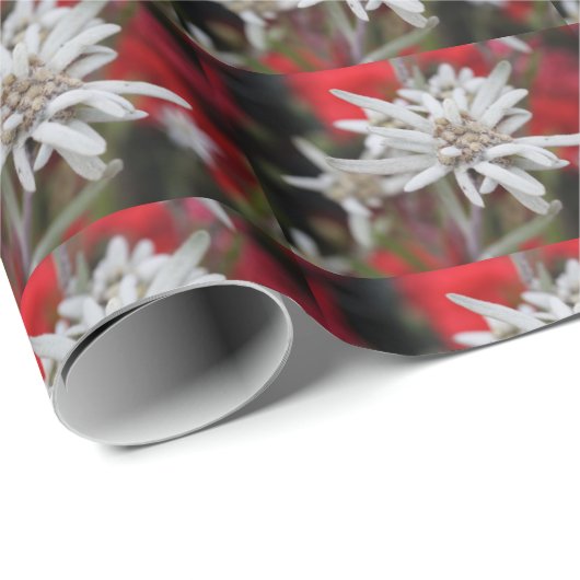 Lovely Edelweiss Leontopodium nivale Cadeaupapier (Rol Hoek)