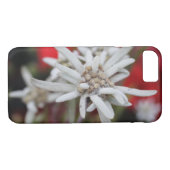 Lovely Edelweiss Leontopodium nivale Case-Mate iPhone Case (Achterkant (Horizontaal))