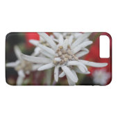 Lovely Edelweiss Leontopodium nivale Case-Mate iPhone Case (Achterkant (Horizontaal))