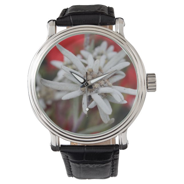 Lovely Edelweiss Leontopodium nivale Horloge (Voorkant)