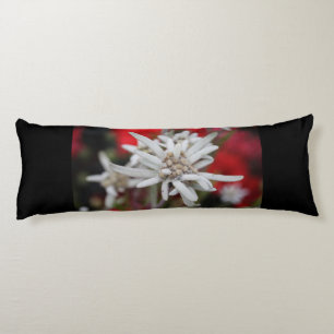 Lovely Edelweiss Leontopodium nivale Lichaamskussen