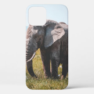 LOVELY ELEPHANT Case-Mate iPhone CASE
