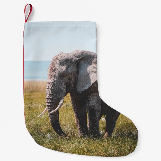 LOVELY ELEPHANT KLEINE KERSTSOK (Voorkant)