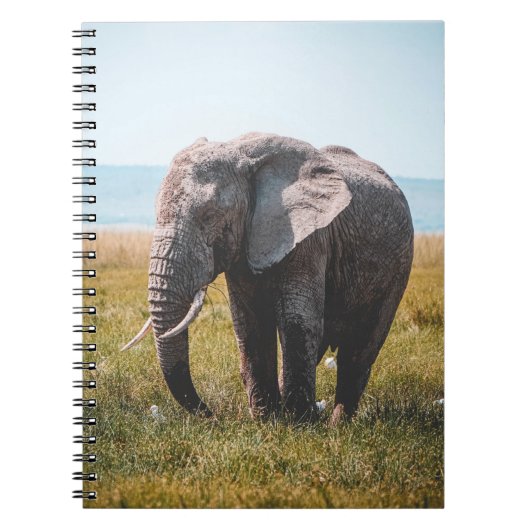LOVELY ELEPHANT NOTITIEBOEK (Voorkant)