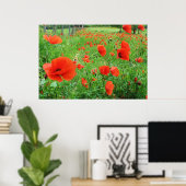 LOVELY FLOWERS POSTER RED POPPIES (Thuiskantoor)