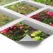 LOVELY GARDEN UITZICHT OCEAN COVE POSTER (Hoek)