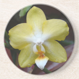 Lovely Gele Orchid Zandsteen Onderzetter