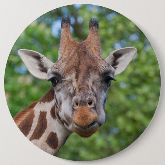 Lovely Giraffe Portret Ronde Button 6,0 Cm (Voorkant)