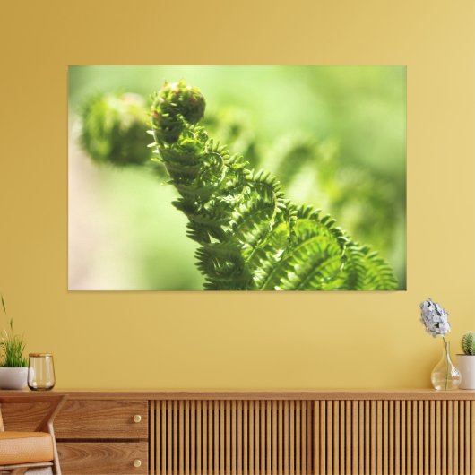 Lovely Green Fern Canvas Afdruk (Insitu (Woonkamer))