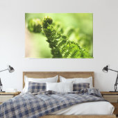 Lovely Green Fern Canvas Afdruk (Insitu (Slaapkamer))