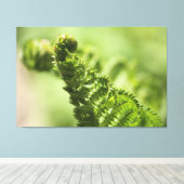 Lovely Green Fern Canvas Afdruk (Insitu (Houten vloer))