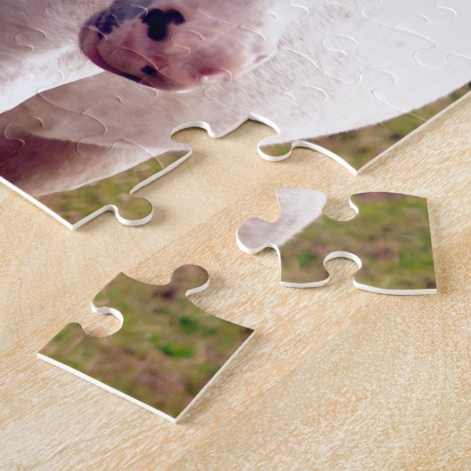 Lovely Grey Pony Legpuzzel (Zijkant)