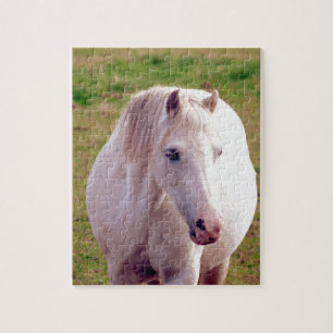 Lovely Grey Pony Legpuzzel