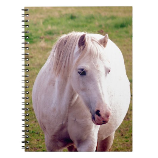 Lovely Grey Pony Notitieboek (Voorkant)