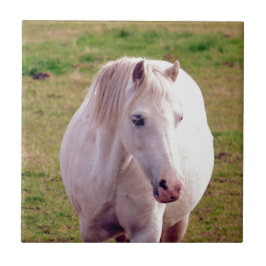 Lovely Grey Pony Tegeltje