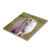 Lovely Grey Pony Tegeltje (Zijkant)