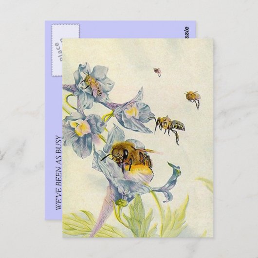 LOVELY HONEYBEES NATUUR BEEKEEPERS HONEY BRIEFKAAR BRIEFKAART (Voorkant / Achterkant)