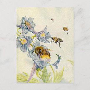 LOVELY HONEYBEES NATUUR BEEKEEPERS HONEY BRIEFKAAR BRIEFKAART