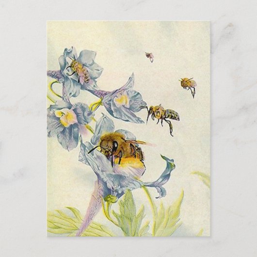 LOVELY HONEYBEES NATUUR BEEKEEPERS HONEY BRIEFKAAR BRIEFKAART (Voorkant)