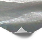 Lovely Honeysuckle Poster (Hoek)