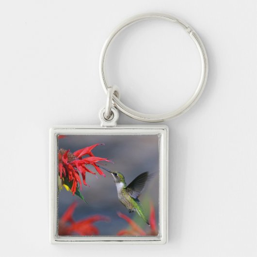 Lovely Hummingbird Sleutelhanger (Voorkant)