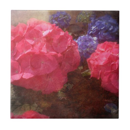 Lovely Hydrangea Tegeltje (Voorkant)