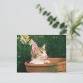 Lovely Kitten 54 Briefkaart (Staand voorkant)