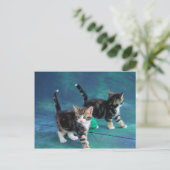 Lovely Kitten 61 Briefkaart (Staand voorkant)