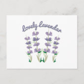 Lovely Lavendar Briefkaart (Voorkant)