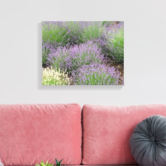 Lovely Lavender Canvas Afdruk (Insitu (Woonkamer))