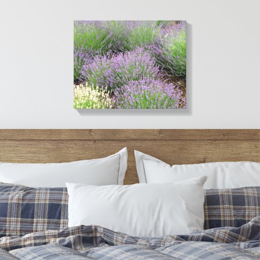Lovely Lavender Canvas Afdruk (Insitu (Slaapkamer))