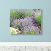 Lovely Lavender Canvas Afdruk (Insitu (Houten vloer))