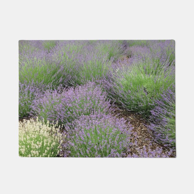 Lovely Lavender Deurmat (Voorkant)