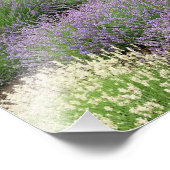 Lovely Lavender Foto Afdruk (Hoek)