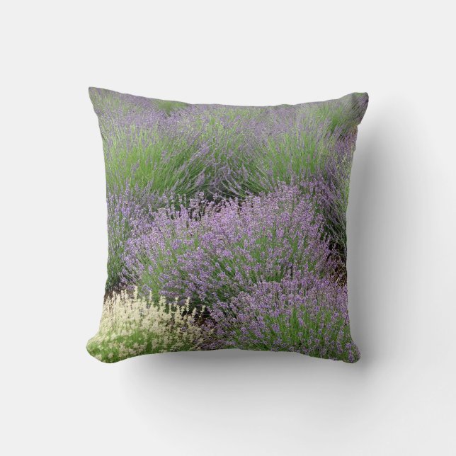 Lovely Lavender Kussen (Voorkant)