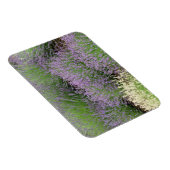 Lovely Lavender Magneet (Rechterzijde)