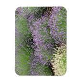 Lovely Lavender Magneet (Verticaal)