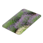 Lovely Lavender Magneet (Linkerzijde)