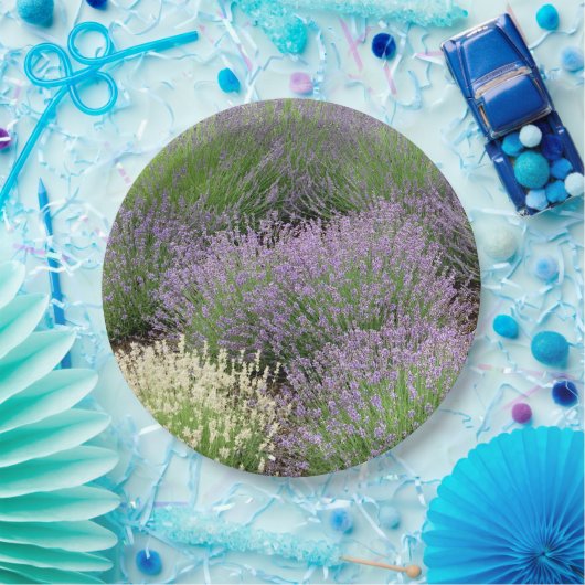 Lovely Lavender Papieren Bordje (Feest)