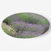 Lovely Lavender Papieren Bordje (Gekanteld)