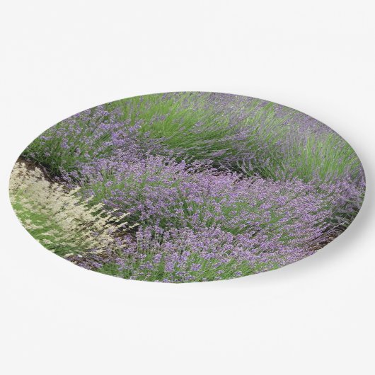 Lovely Lavender Papieren Bordje (Gekanteld)